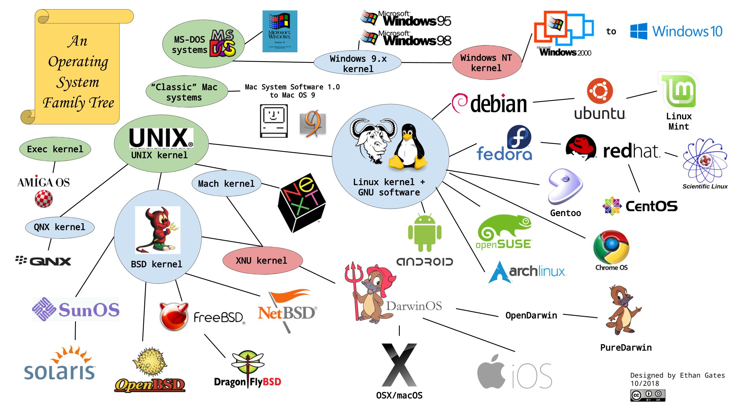 An Operating System Family Tree